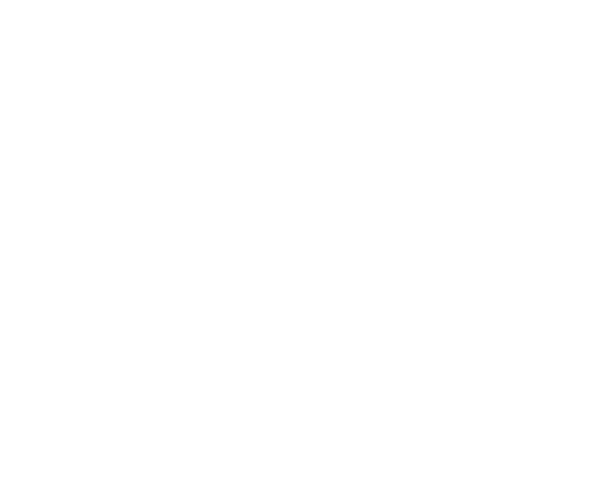 Indigospirit-logo